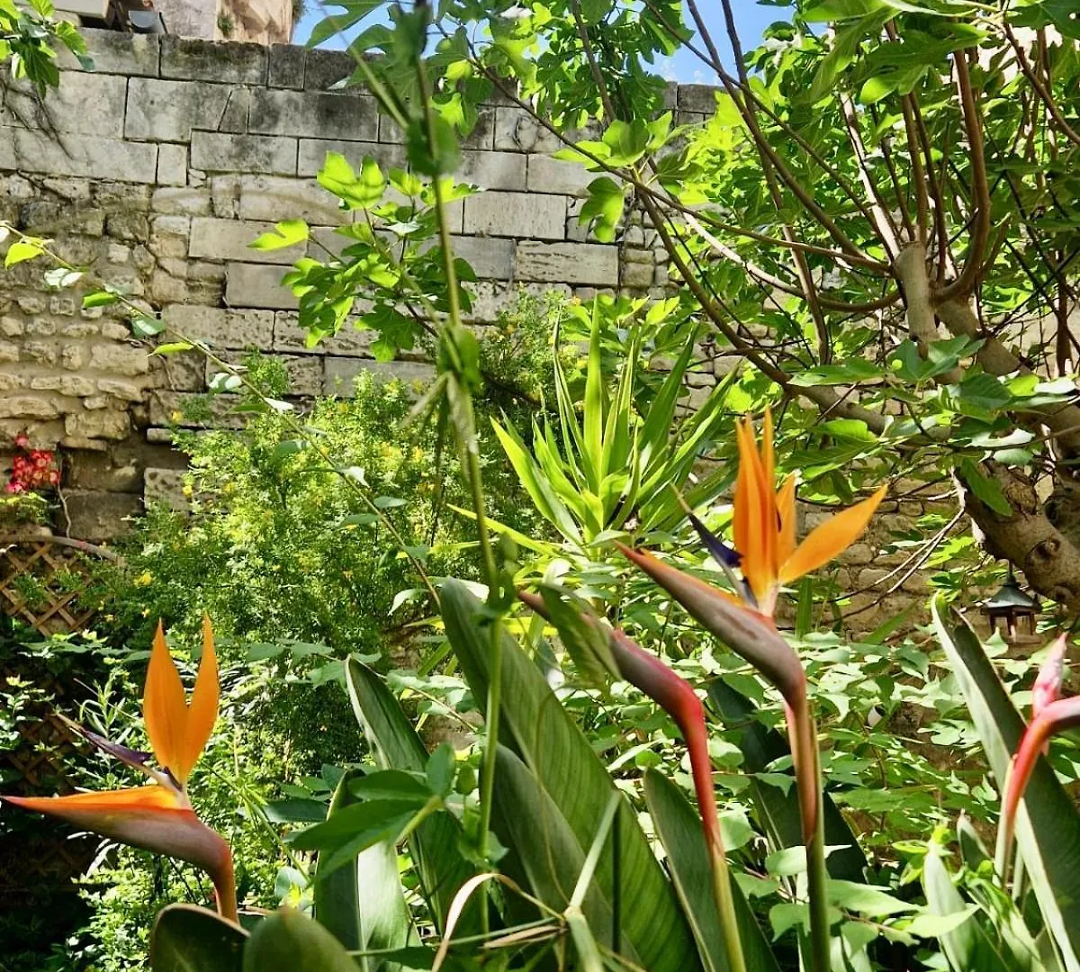 Appartement Capucines, Un Jardin Secret Dans Le Centre Historique à Arles